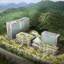 국립중앙의료원 이미지