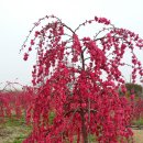 만춘농장 이미지