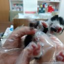 수유종합상사