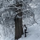 고토일청국장 | 여자 엄홍길의 설산, 태백산 유일사코스 | 태백호텔