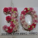 롤리앤폴리 이미지