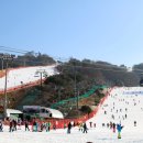 오션스파랜드 이미지