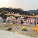 구미 캠프닉 바베큐 옐로우레빗츠 투명돔