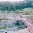 신상동 인공습지 이미지