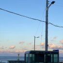 씨랜드펜션 이미지