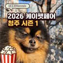 버블멍(니즈더펫) | 2026 케이 펫페어 청주 할인정보