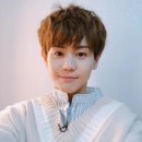 양요섭 카카오 검색결과
