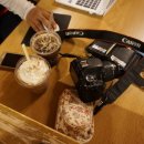 마오네애견카페 이미지