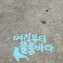 울릉오토바이 | 울릉도의 모든 것! (배편,숙소,맛집,가볼만한 곳) + 꿀팁 총정리✨
