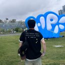 2025 힙합플레이야 페스티벌 힙플페 티켓팅 및 래퍼 라인업 공연관람 후기