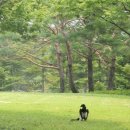 중급과제(7.30) 이미지