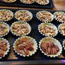 파이올린 이미지