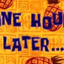 최안과의원 이미지