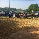 산수유 둘레길 이미지