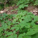 창일농장 이미지