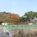 아름동_아름고앞 이미지