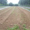 크로바농장 이미지