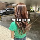 너를, 봄 네이버블로그