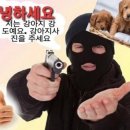 공지로2 이미지