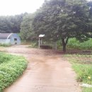 봉담농장 이미지