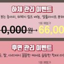 네일,벨르 이미지