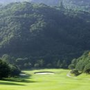 블루버드 이미지