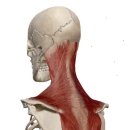 헬스에 빠GYM 이미지