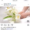 슬기비디오 | [공지] 본식DVD 더컨벤션 송파문정 르랑필름 계약후기 추천인할인