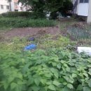 시영아파트(1차) 이미지