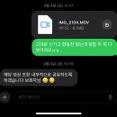벗겨지지 않는 신발이라고요? 강아지 신발 포킷츠 내돈내산 후기