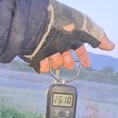 청도천3 이미지