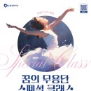 해설이 있는 발레 네이버블로그