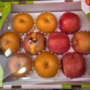 충주청과 이미지