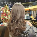 안양 호계동 미용실 에센슈얼 범계점 가격 위치