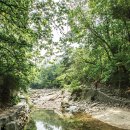 숨은 계곡 이미지