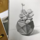 감성드로잉(연필화) 이미지