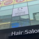 비어마이독 이미지