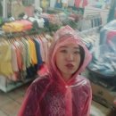 블루포니 게스트하우스 이미지