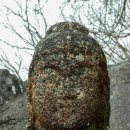 합천 해인사 석조여래입상(陜川 海印寺 石造如來立像) 이미지