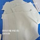 (주)이에스지원 | 와마니 pdf 체험단 후기(피오니 오프숄더 원피스)