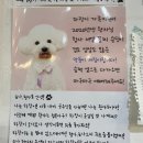 사랑할~개 | <경기/부천> 부천 중동 사랑스러운 강아지들 천국~! 유기견카페 '함께할개 사랑할개' 다녀온 후기