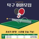 신동교육