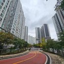 디자인시티블루밍 이미지