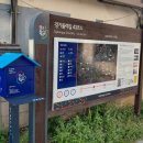서운초교길 네이버블로그