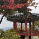 국토종주자전거길1-11 이미지