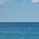 낙산무인텔 이미지