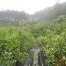 용신농장 이미지