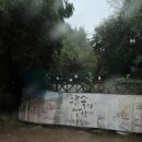 구름속의 산책 | 📌 아이와 가기 좋은 키즈풀빌라, 구름속의 산책 후기 🏡