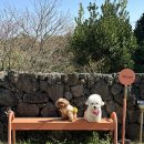 어썸스테이 이미지