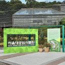 추위를 피해 온실에서 즐기는 산뜻한, 서울 근교 실내 식물원 4 이미지